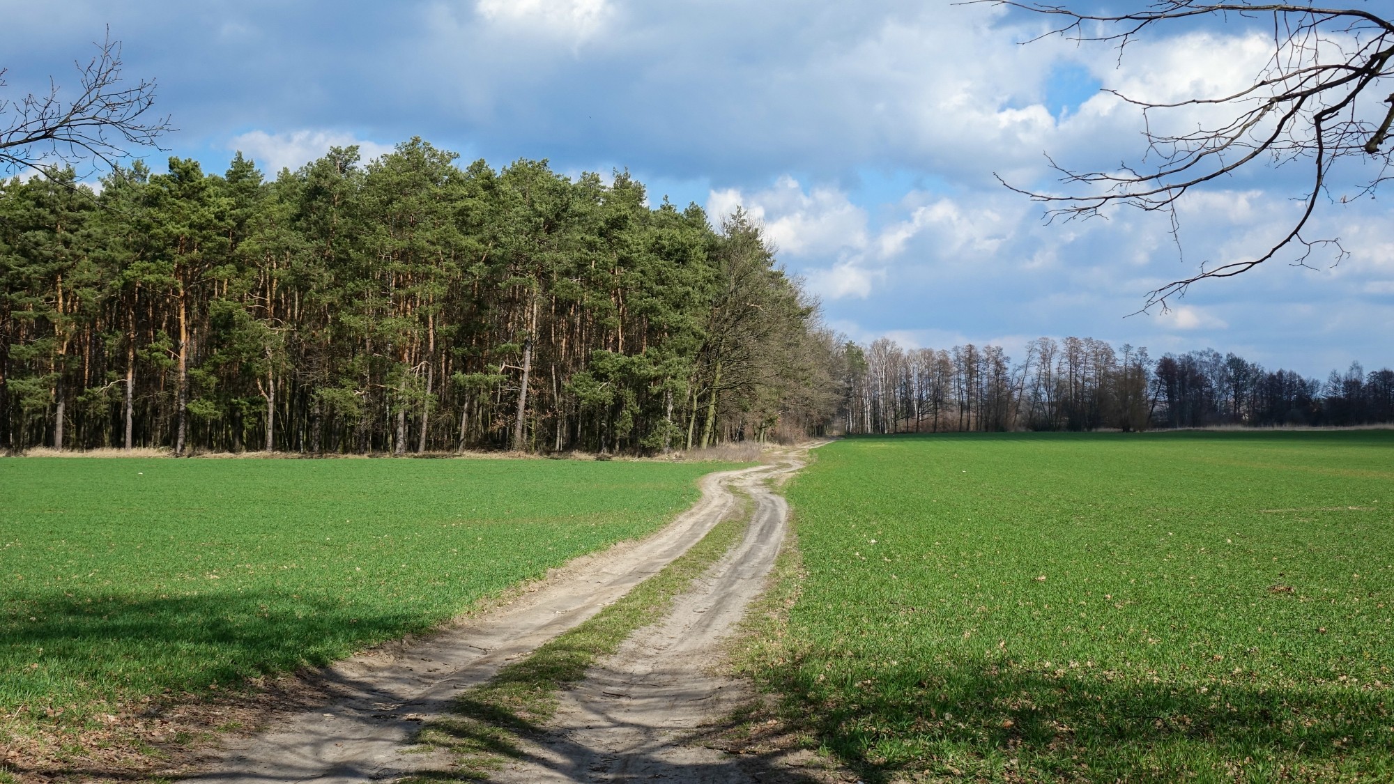 Całe piękno polskiej prowincji - zdjęcie 64
