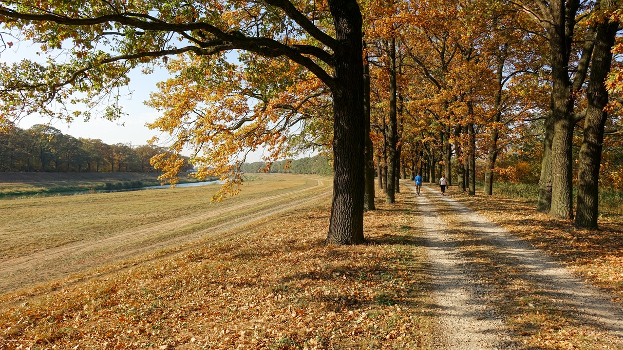 Październik w obiektywie - zdjęcie 4
