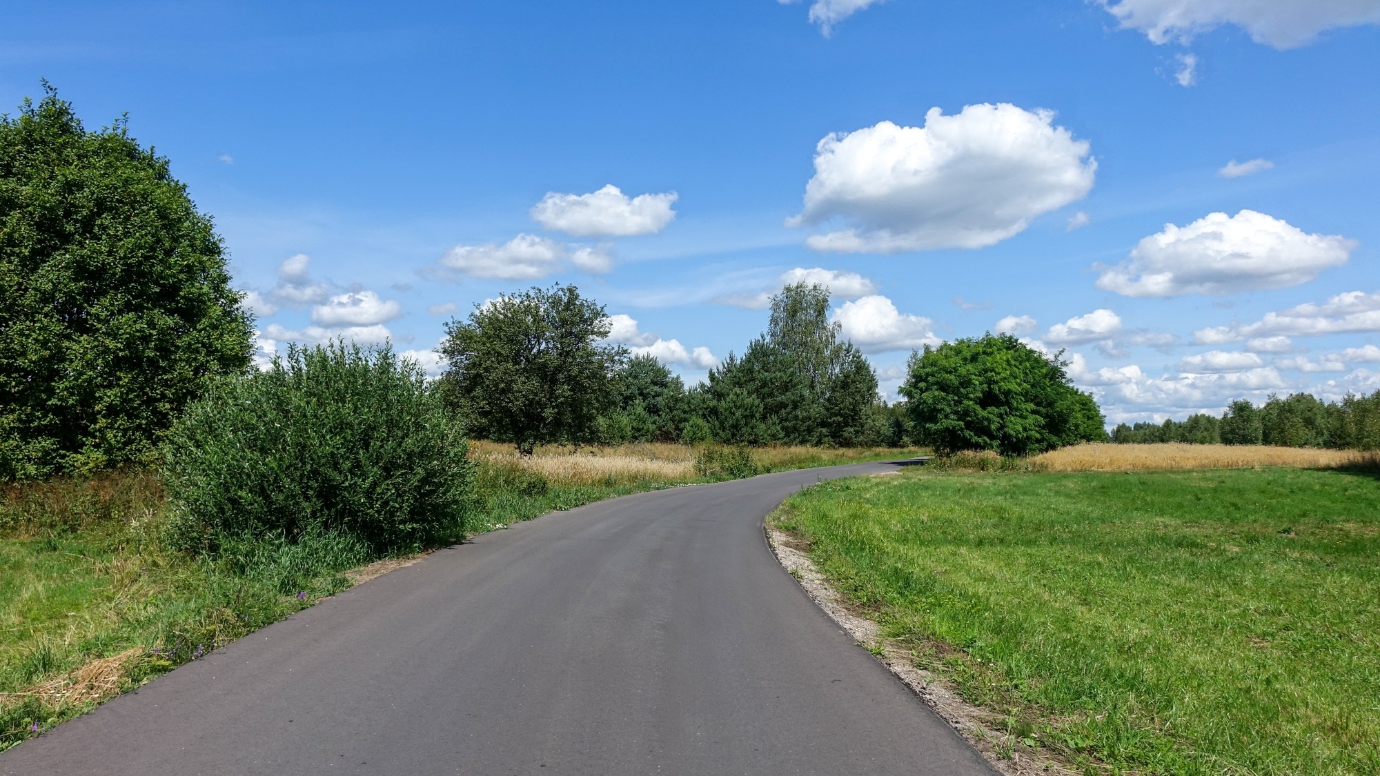 Lipiec w obiektywie - zdjęcie 37