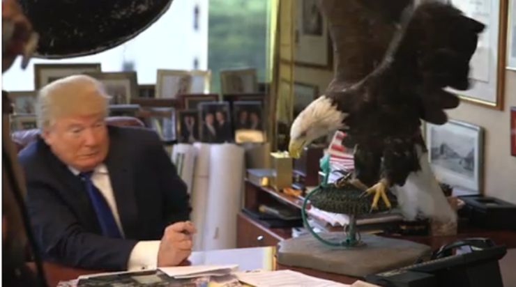 Donald Trump dumnie pozował w sesji z orłem. Ale ptak go nie polubił...