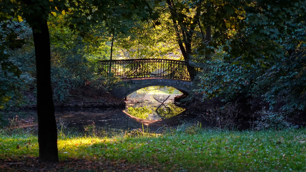 Jesienne krajobrazy za miastem - zdjęcie 60