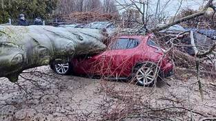 03.02.2024 05:58 W poniedziałek uderzy potężna wichura. Drzewa będą spadać na drogi i auta. Nie będzie prądu