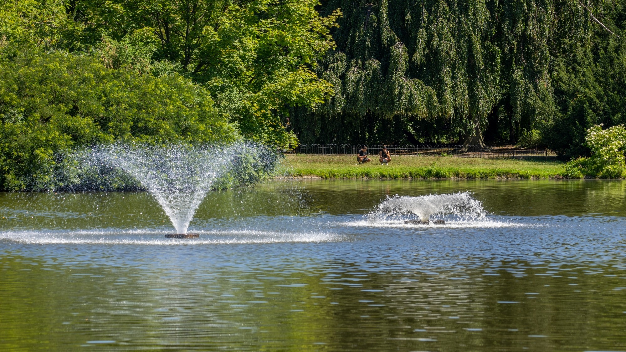 Kolory lata - zdjęcie 29