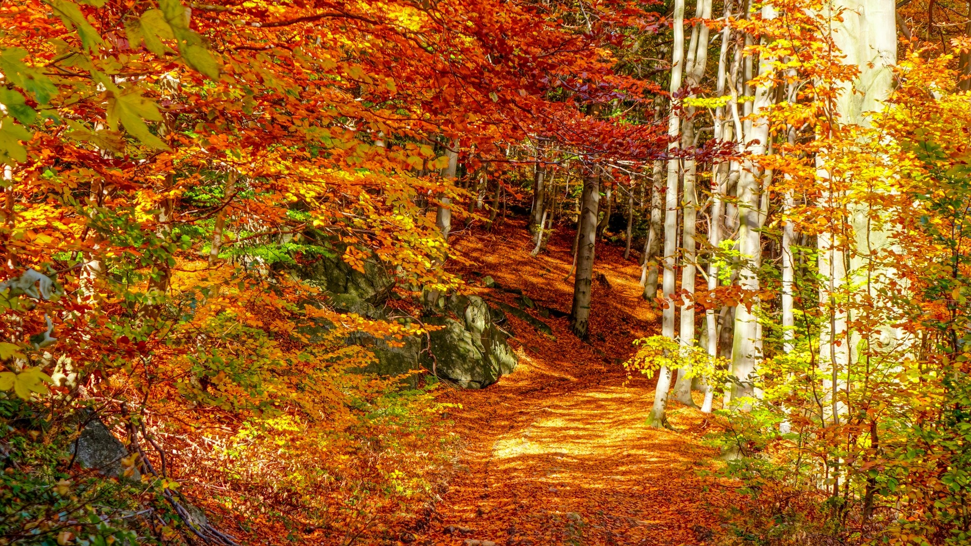 Polska jesienią - zdjęcie 44