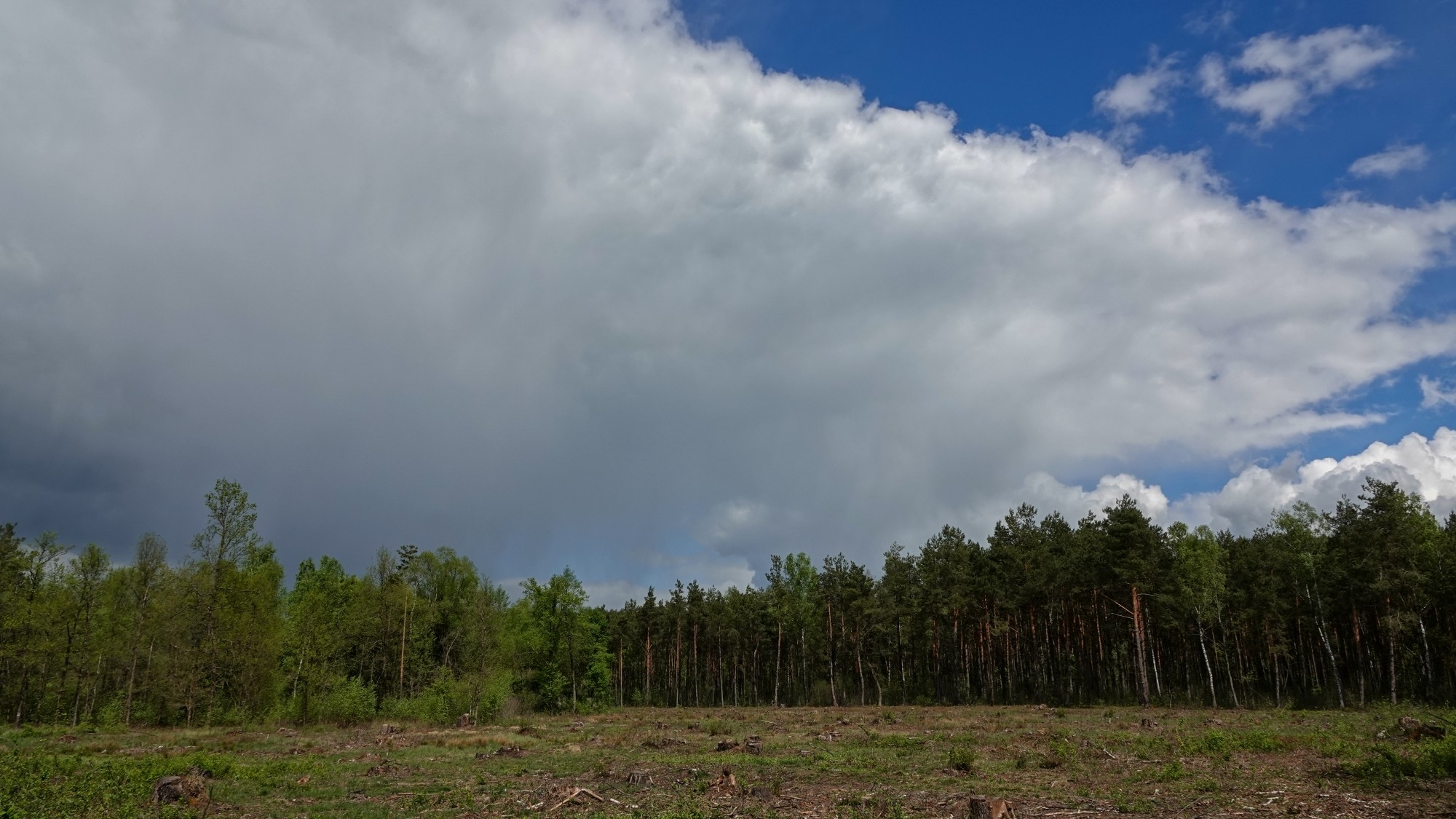Całe piękno późnej wiosny - zdjęcie 30