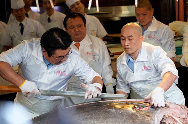 Rekordowy tuńczyk wylicytowany na aukcji w Tokio