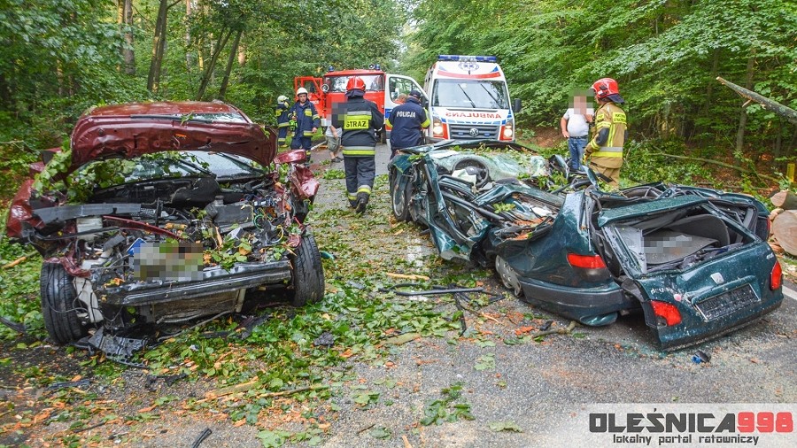 Dwa auta przygniecione przez drzewo na DK25 pod Drołtowicami na Dolnym Śląsku. Fot. Facebook / Oleśnica998.pl