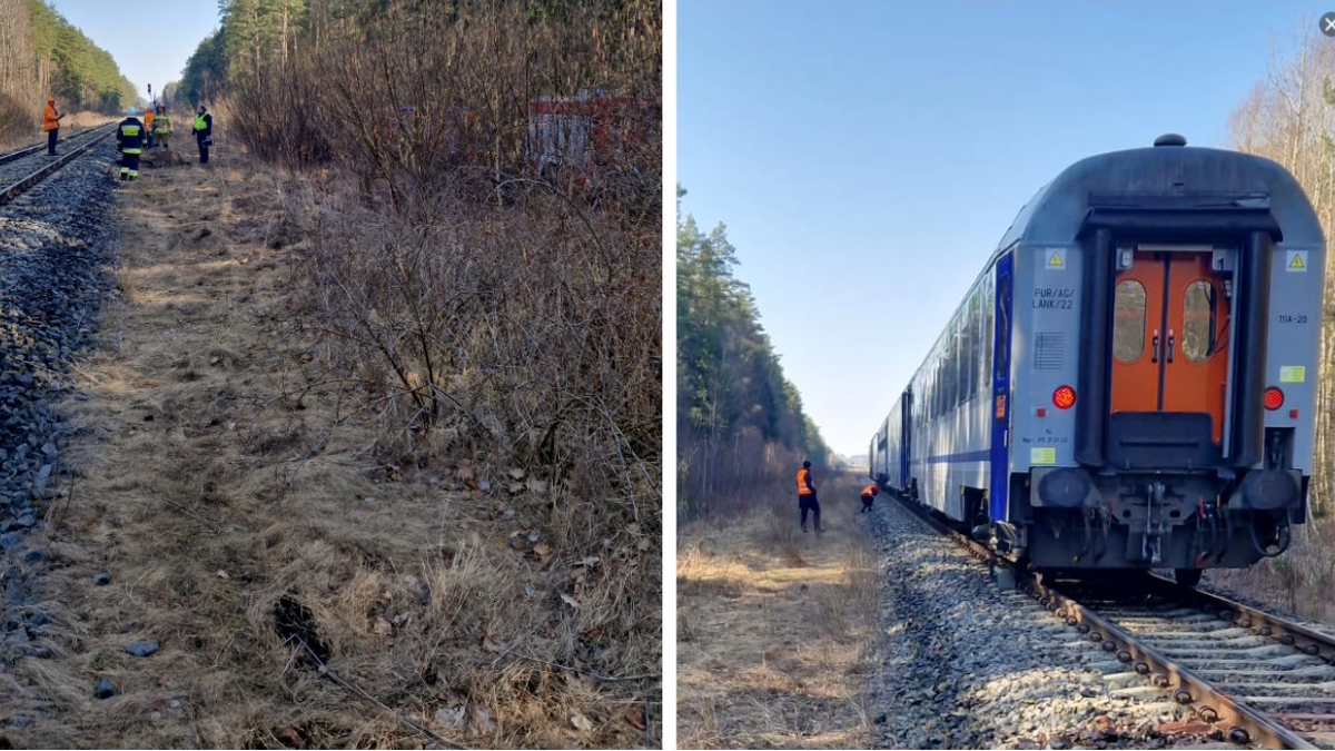 Tory kolejowe w lesie, na miejscu pracują strażacy, widoczny tył pociągu