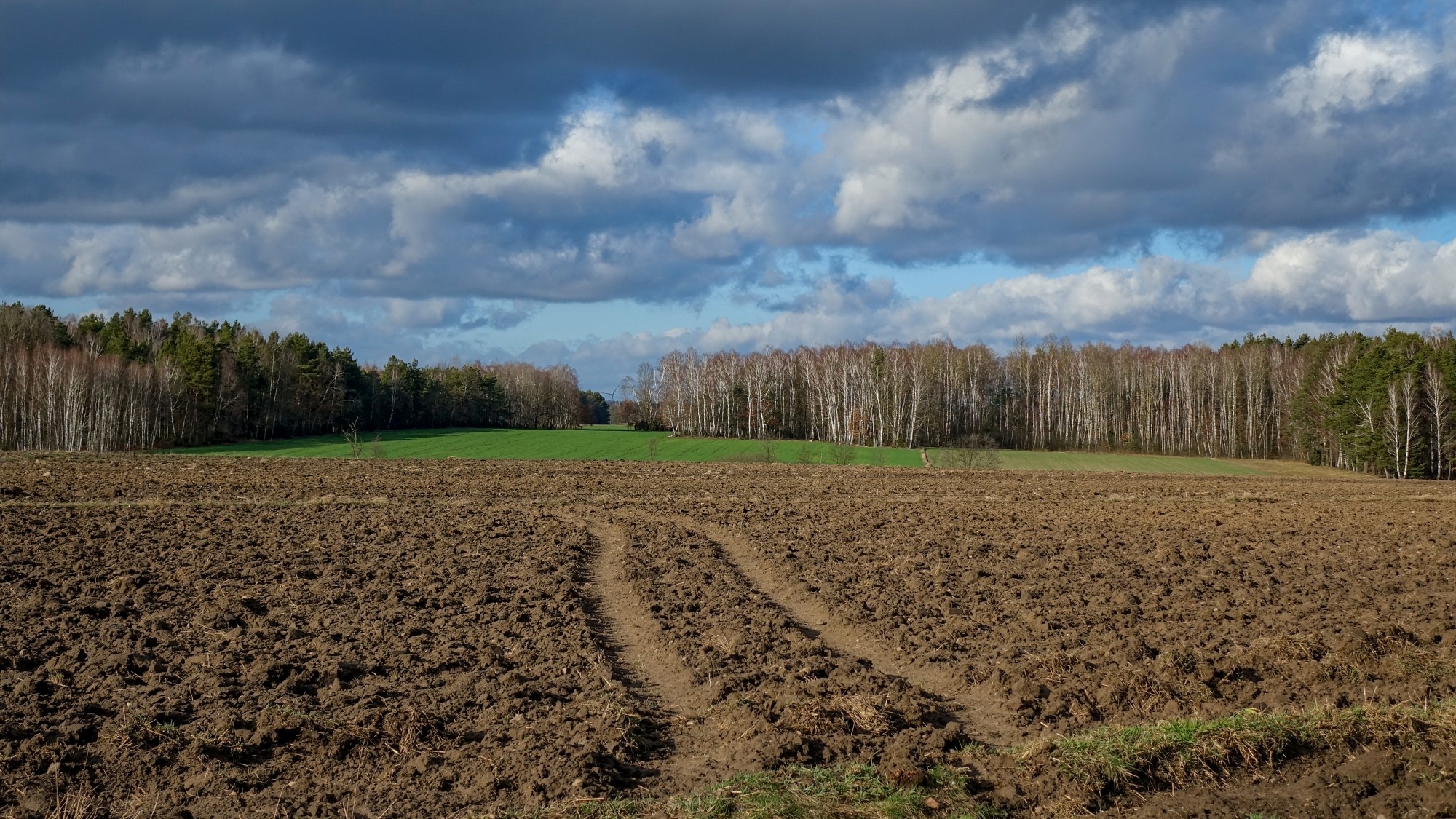 Najcieplejsza zima w historii - zdjęcie 10