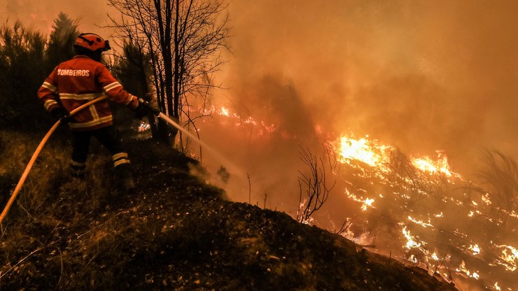 Portugalia: pożar z Leirii rozprzestrzenił się na sąsiednie dystrykty