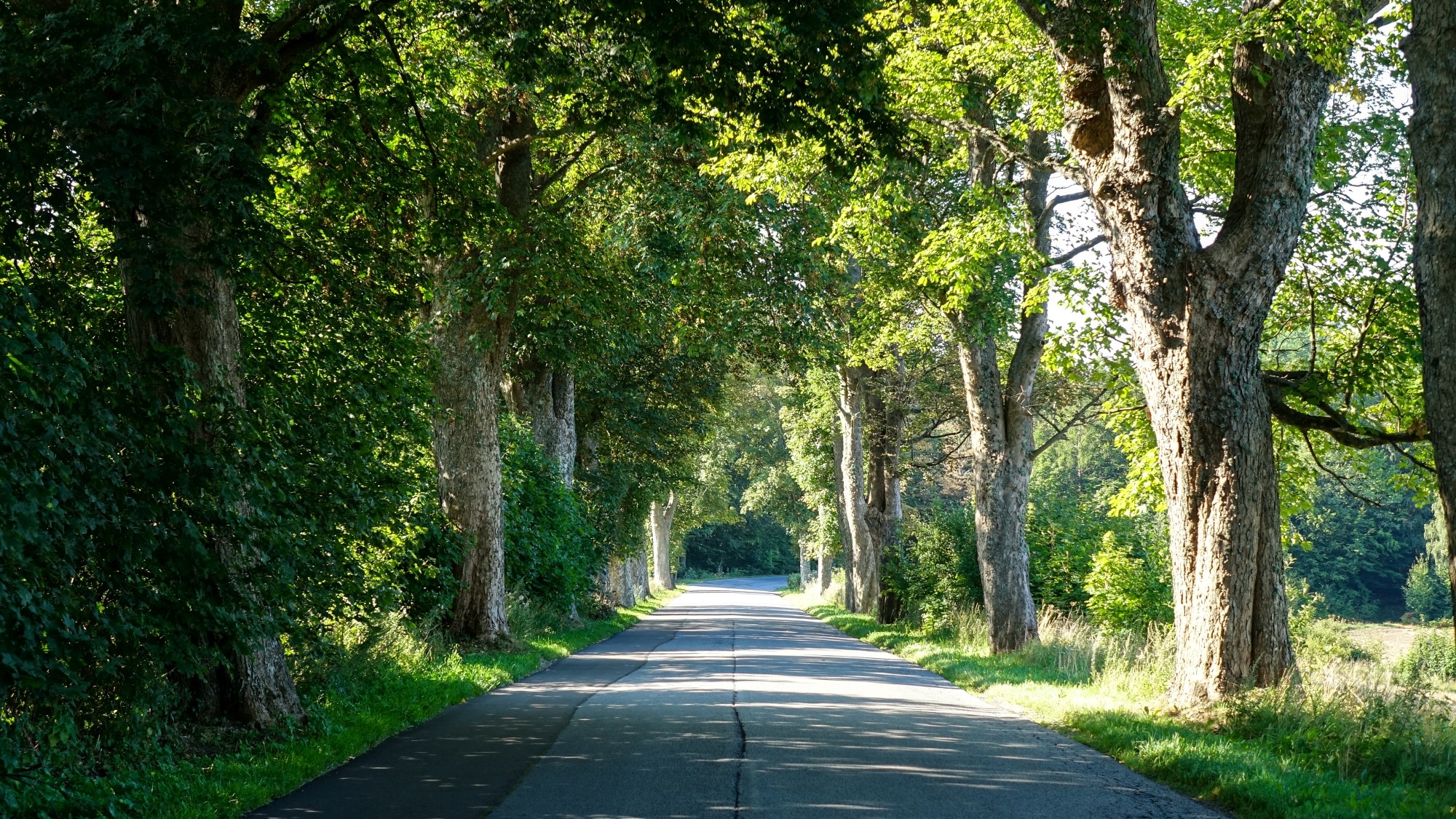 Całe piękno polskiej prowincji - zdjęcie 100