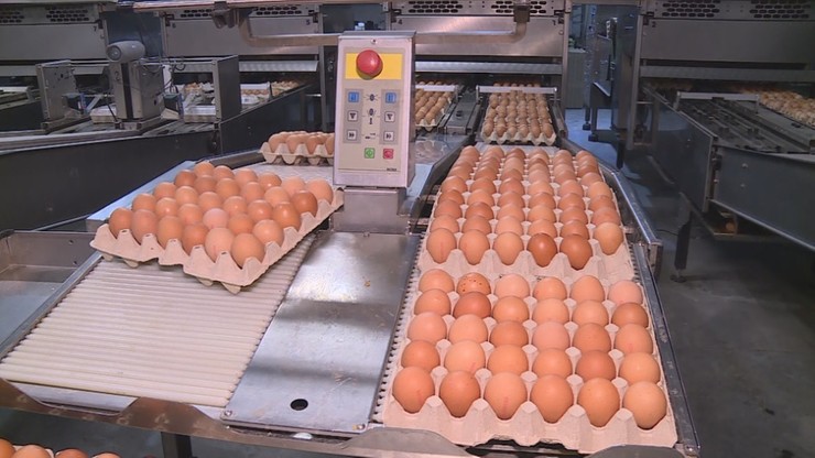 Inflacja. Ceny jaj i makaronów mogą zrosnąć o kilkadziesiąt procent