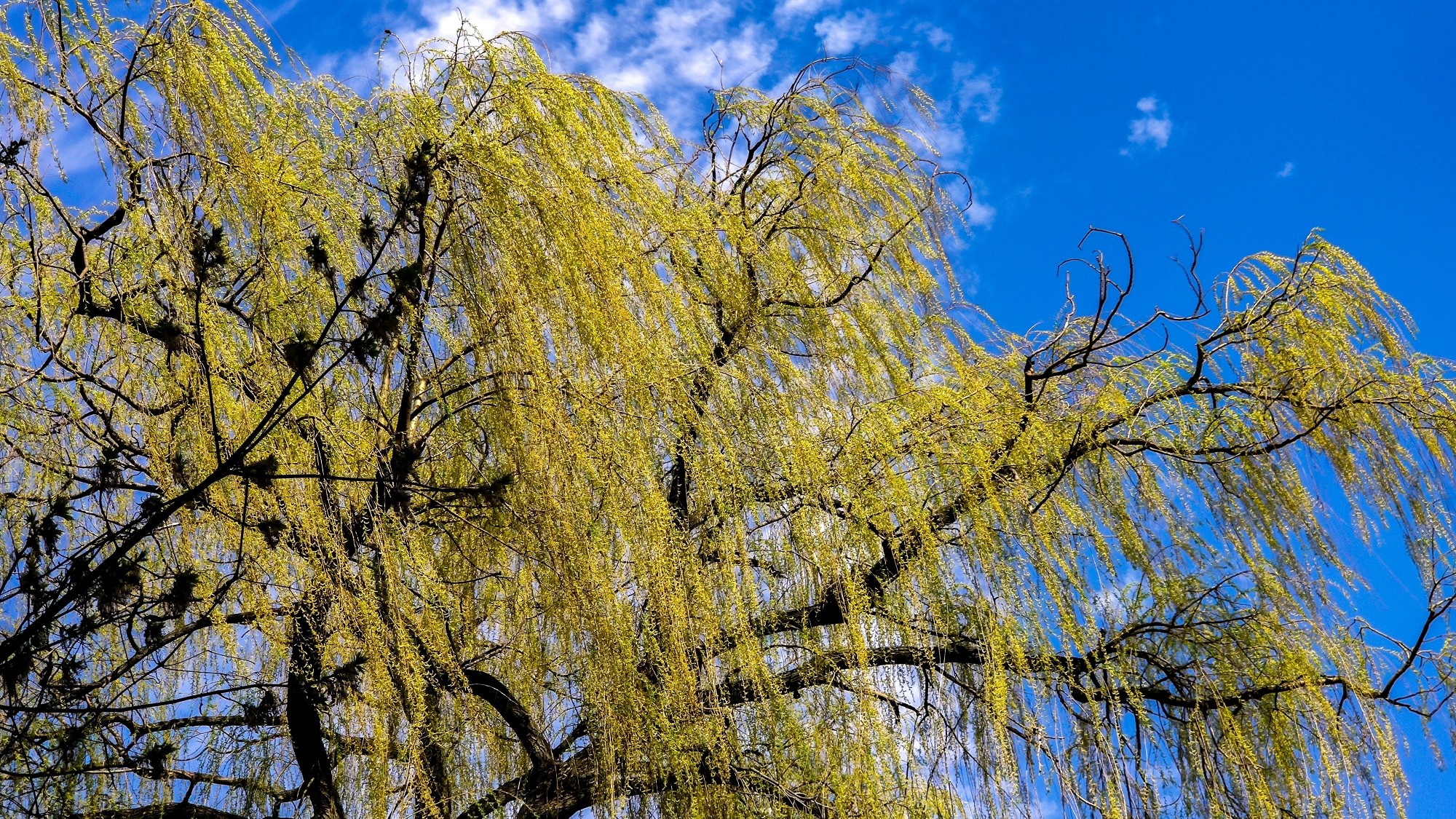 Wiosenna pobudka - zdjęcie 17