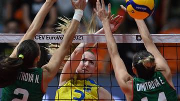 Andersson zagra w polskiej lidze! Klub siatkarski ogłosił wzmocnienie