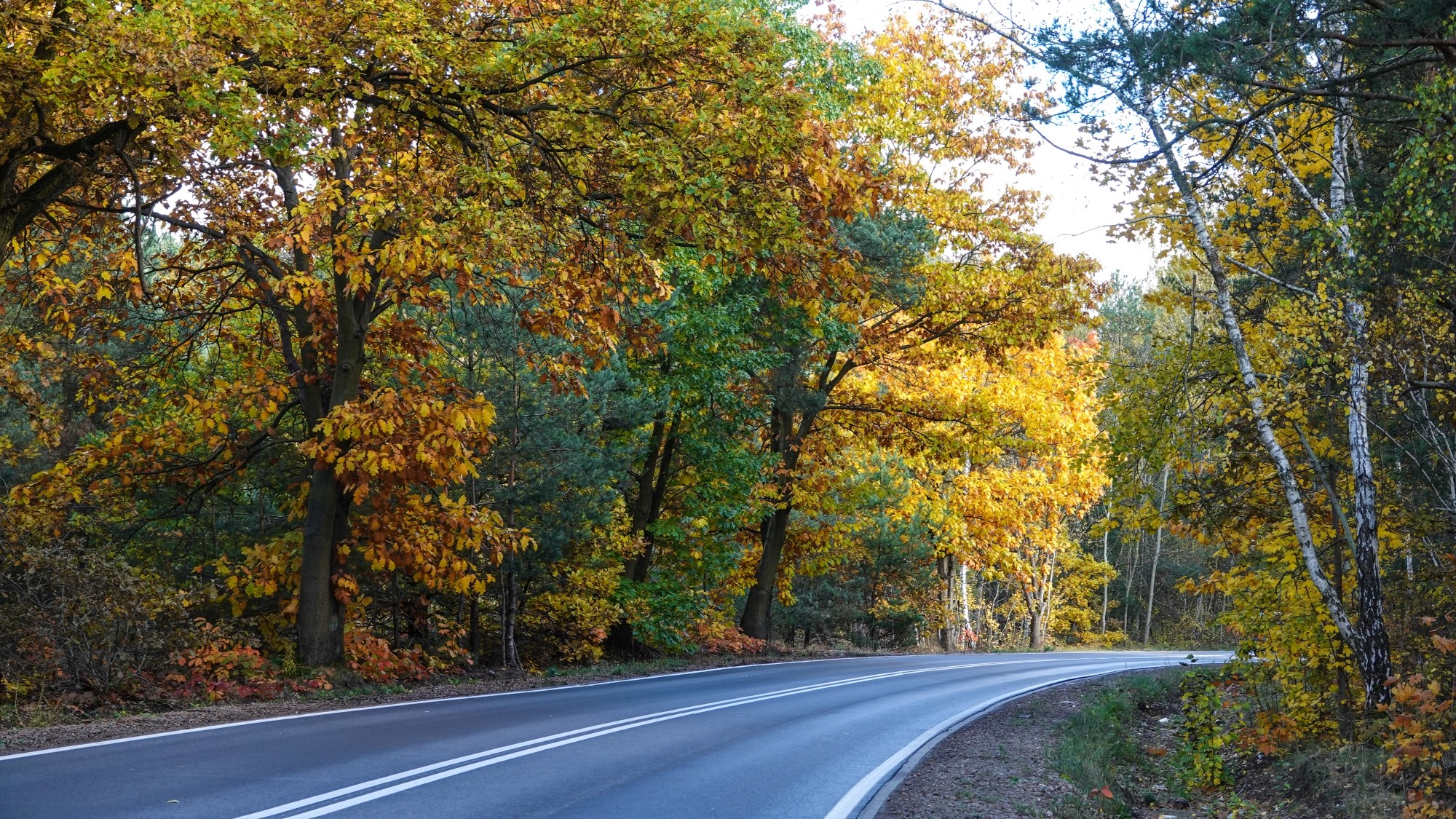 Wszystkie barwy jesieni - zdjęcie 35