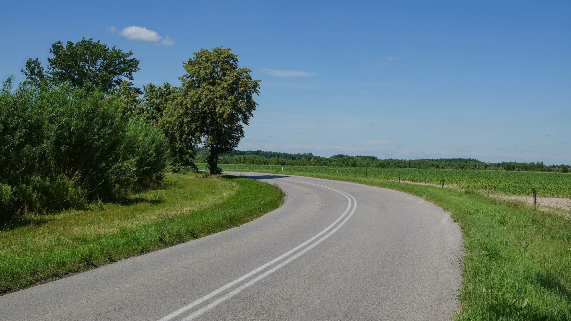 Letnie klimaty na łonie natury - zdjęcie 32