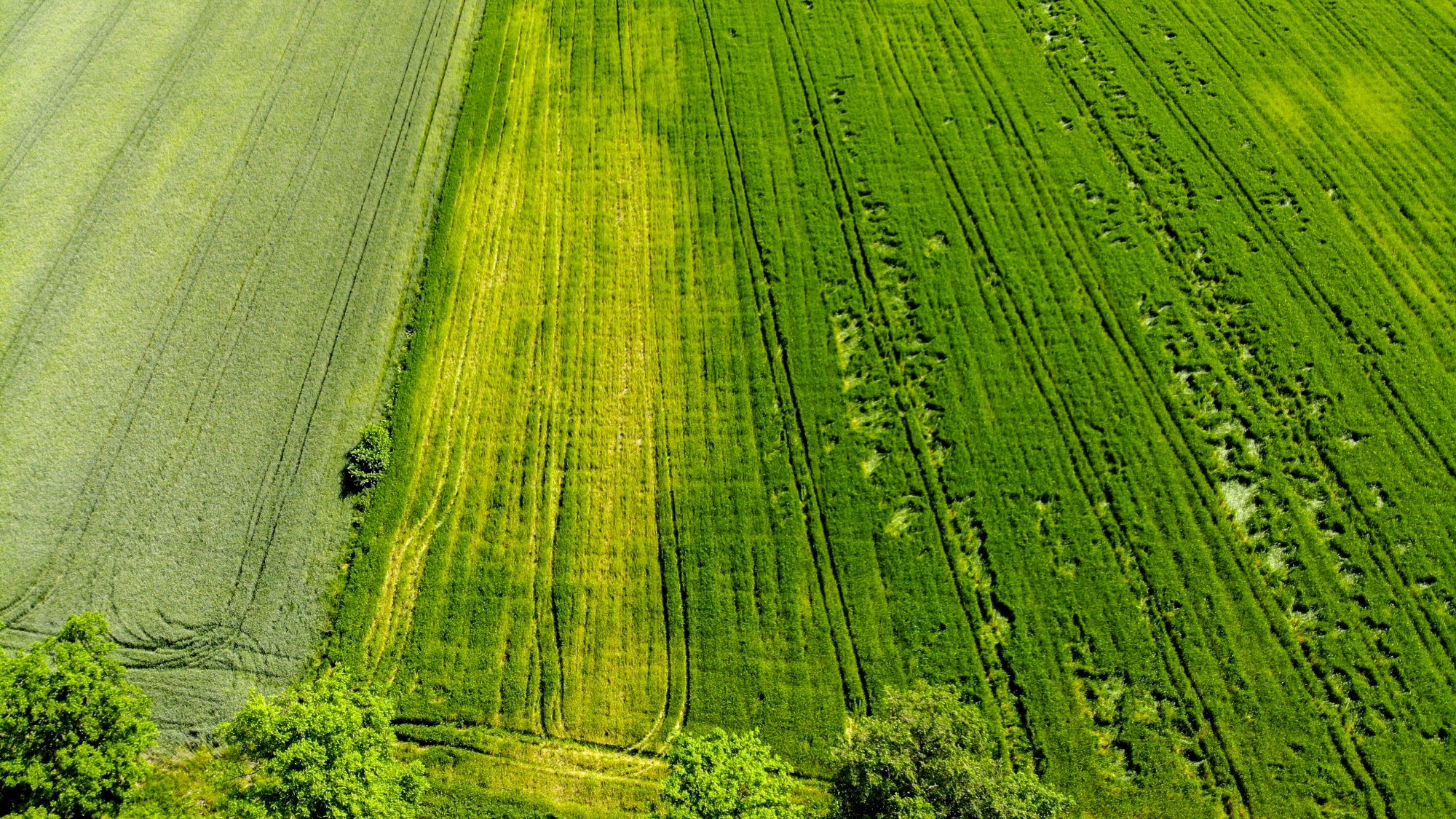 Niesamowita Polska z lotu ptaka - zdjęcie 57