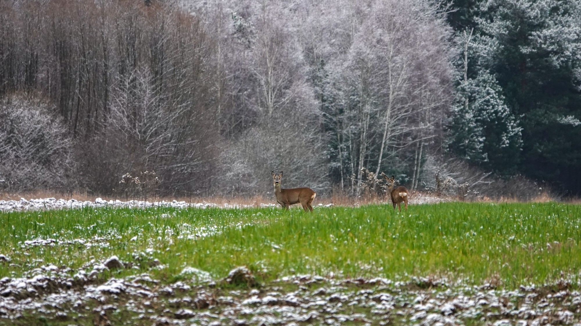 100 najpiękniejszych zdjęć 2020 roku - zdjęcie 53