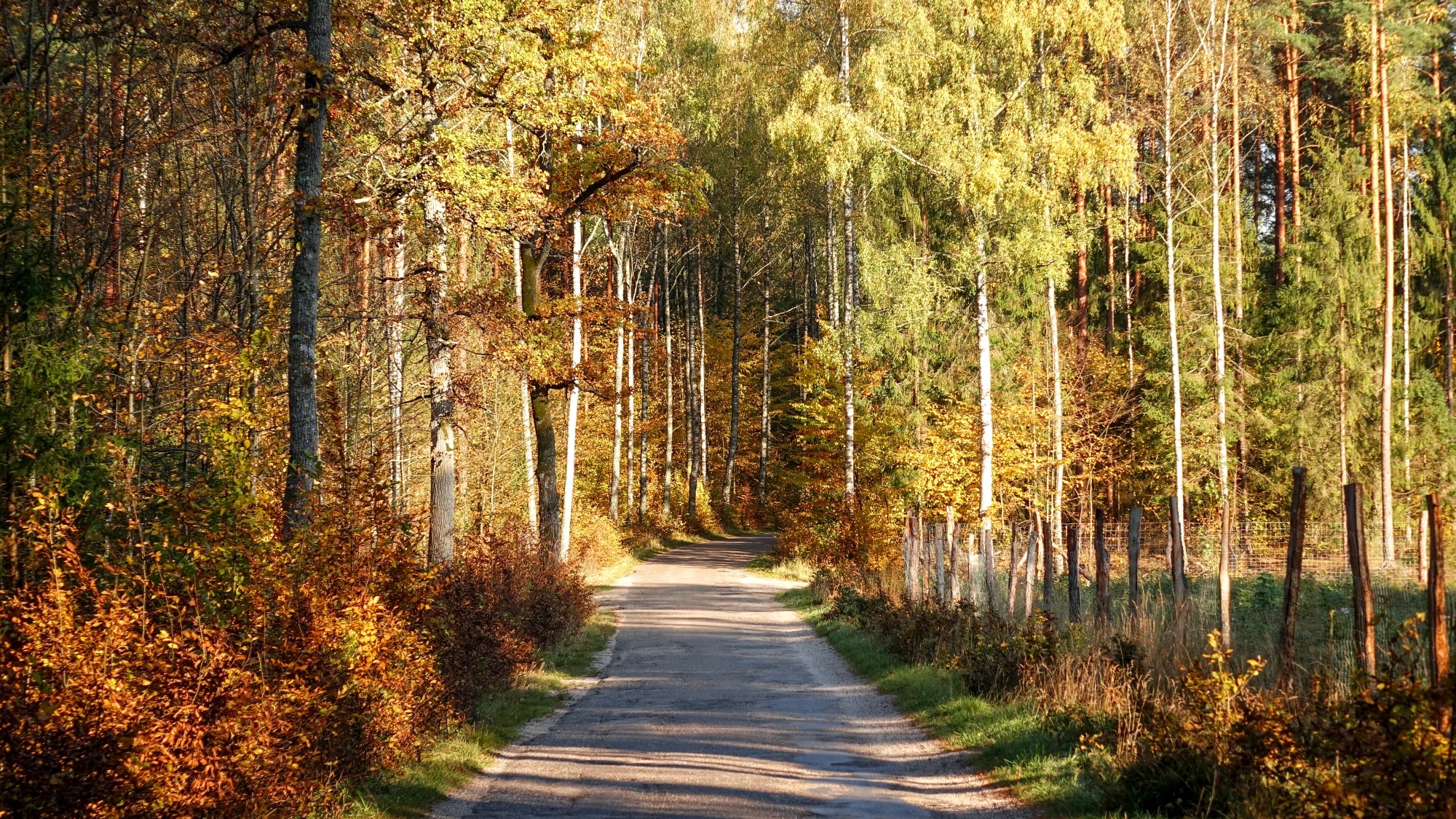 Jesień w górach, lasach i nad jeziorami - zdjęcie 45