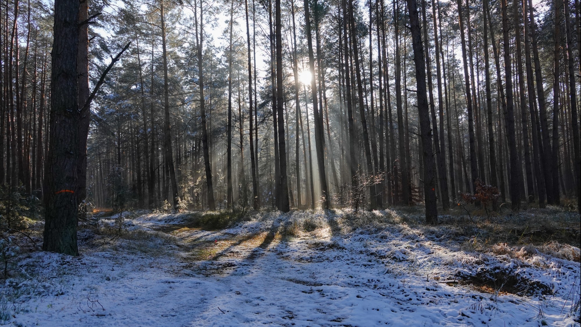 Oblicza zimy - zdjęcie 17