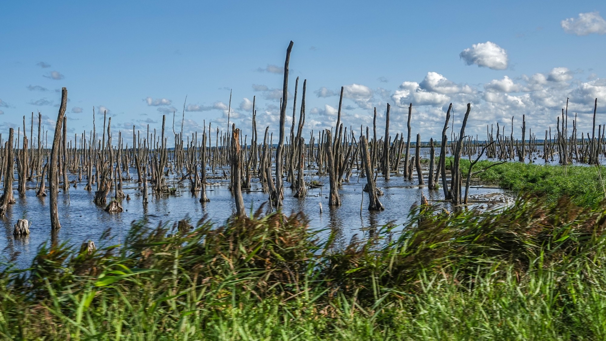 100 najpiękniejszych zdjęć 2020 roku - zdjęcie 59