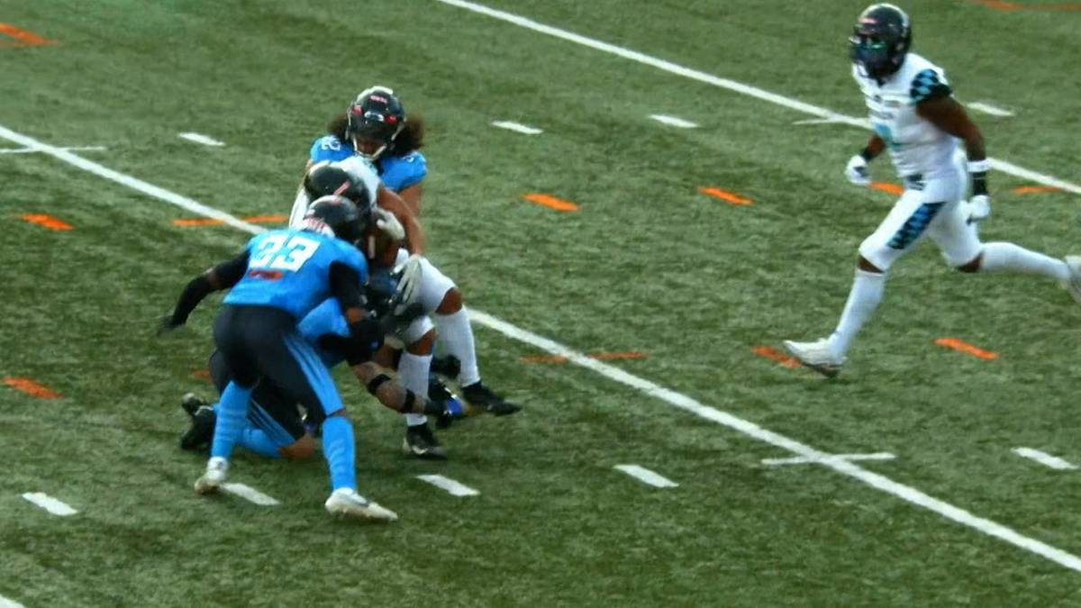 Trzech zawodników w niebieskich strojach futbolu amerykańskiego próbuje powalić zawodnika w białym stroju, który biegnie po zielonym boisku.