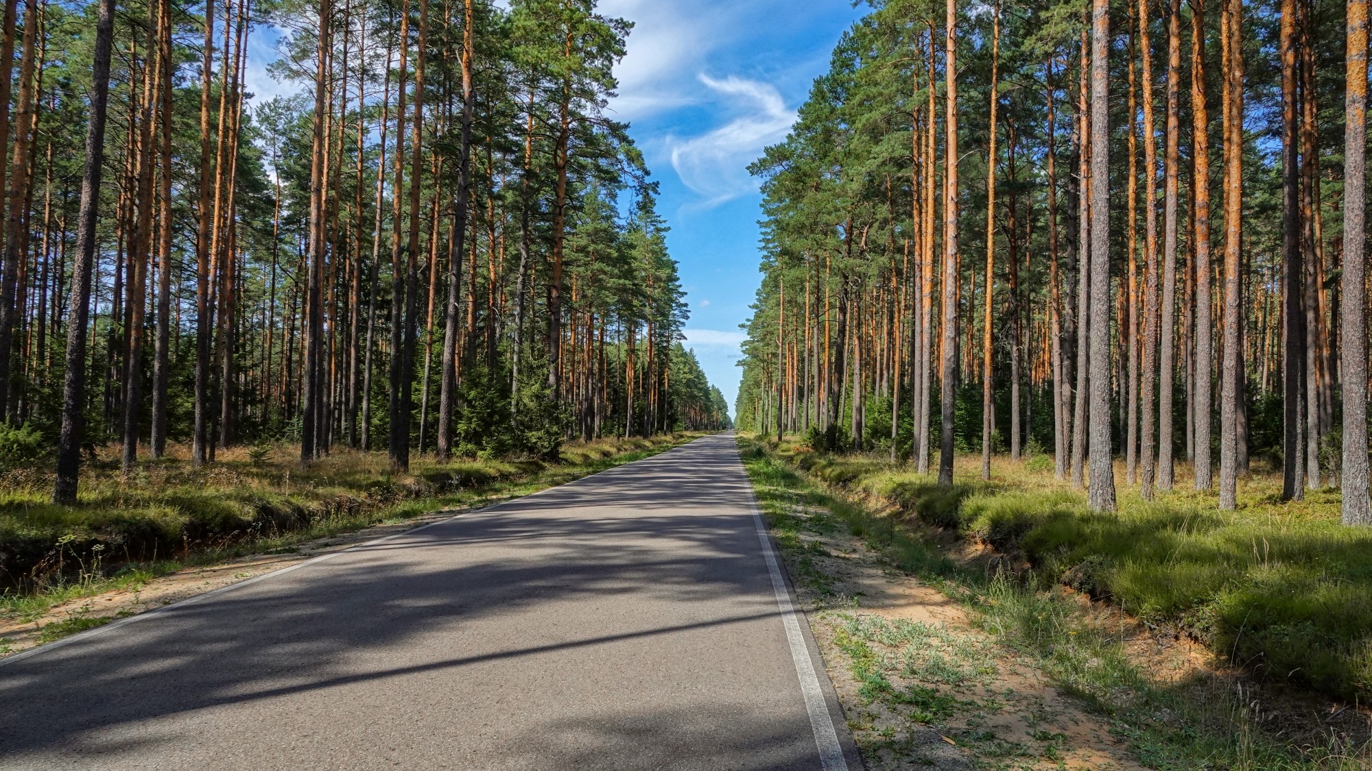100 najpiękniejszych zdjęć 2020 roku - zdjęcie 87