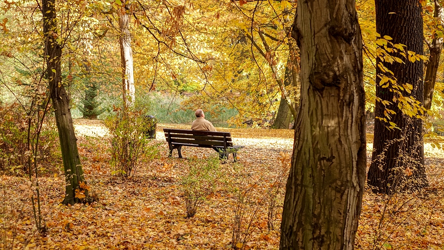 27.10.2019 09:00 Niż Jarosław zabierze nam babie lato. Z dnia na dzień ochłodzi się nawet o kilkanaście stopni