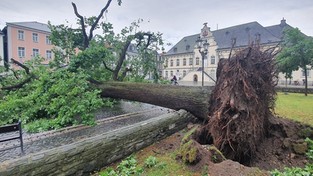 21.05.2022 05:56 Po rekordowych upałach nadeszły niszczycielskie burze. W Niemczech szalały tornada [WIDEO]