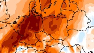 26-11-2024 05:59 Niesłychanie ciepło na południu Polski. Padł absolutny rekord temperatury