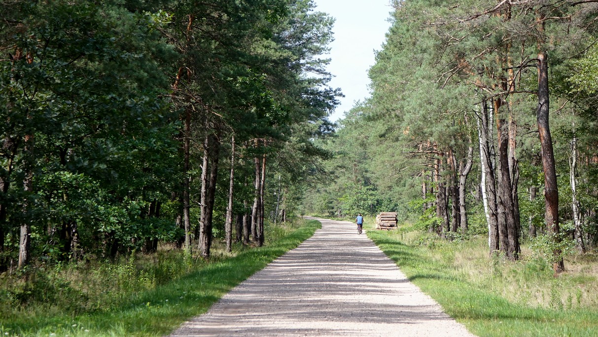 Sierpień w obiektywie - zdjęcie 32