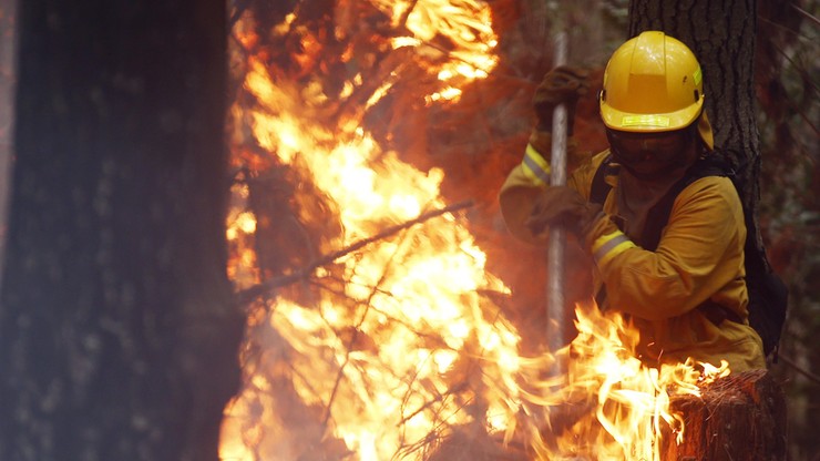 Dramatyczna walka z ogniem w Chile. Lasy ciągle płoną