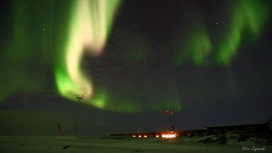 Fot. Facebook / Polish Polar Station Hornsund / Piotr Zagórski.