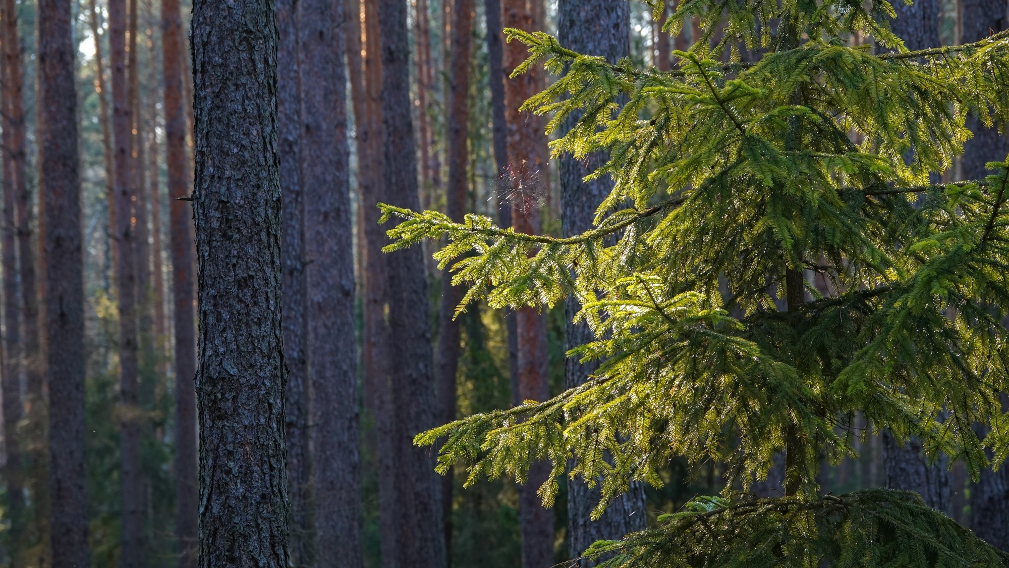 Marzec w obiektywie - zdjęcie 40