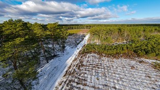 12.04.2022 06:01 Kwiecień plecień, bo przeplata, trochę zimy, trochę lata. Niesamowite, jak zmienna jest ostatnio pogoda