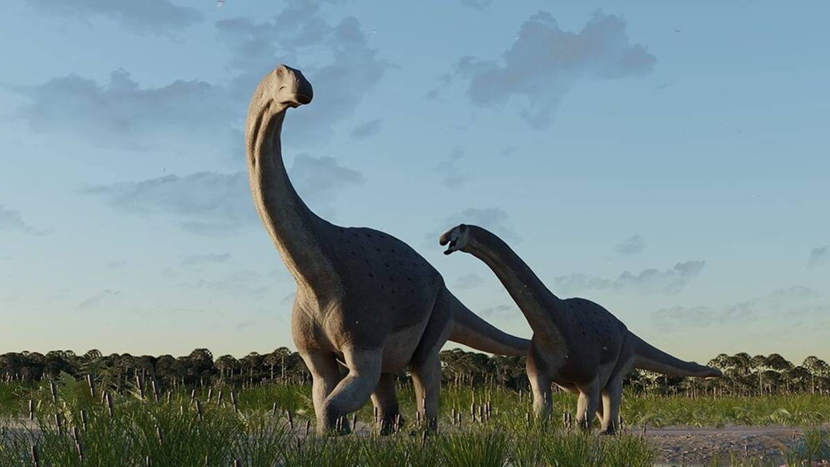 Badacze odkryli nowy gatunek dinozaura z Patagonii. Był wyjątkowo mały