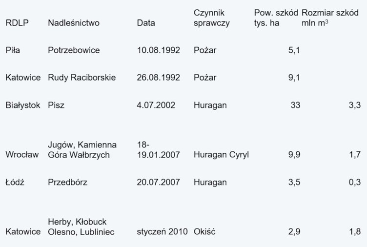 Największe klęski w historii polskiego leśnictwa. Fot. Lasy Państwowe.