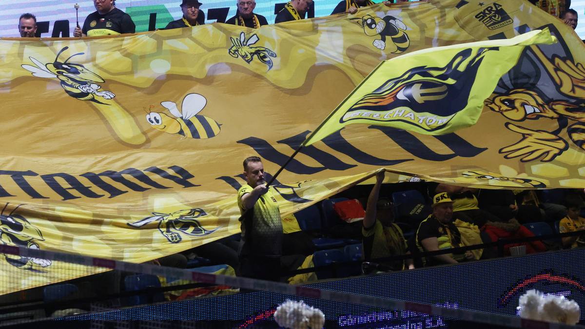 Kibice z transparentem "Jesteśmy Skrą" i flagą z pszczołą i logo drużyny podczas meczu siatkówki.