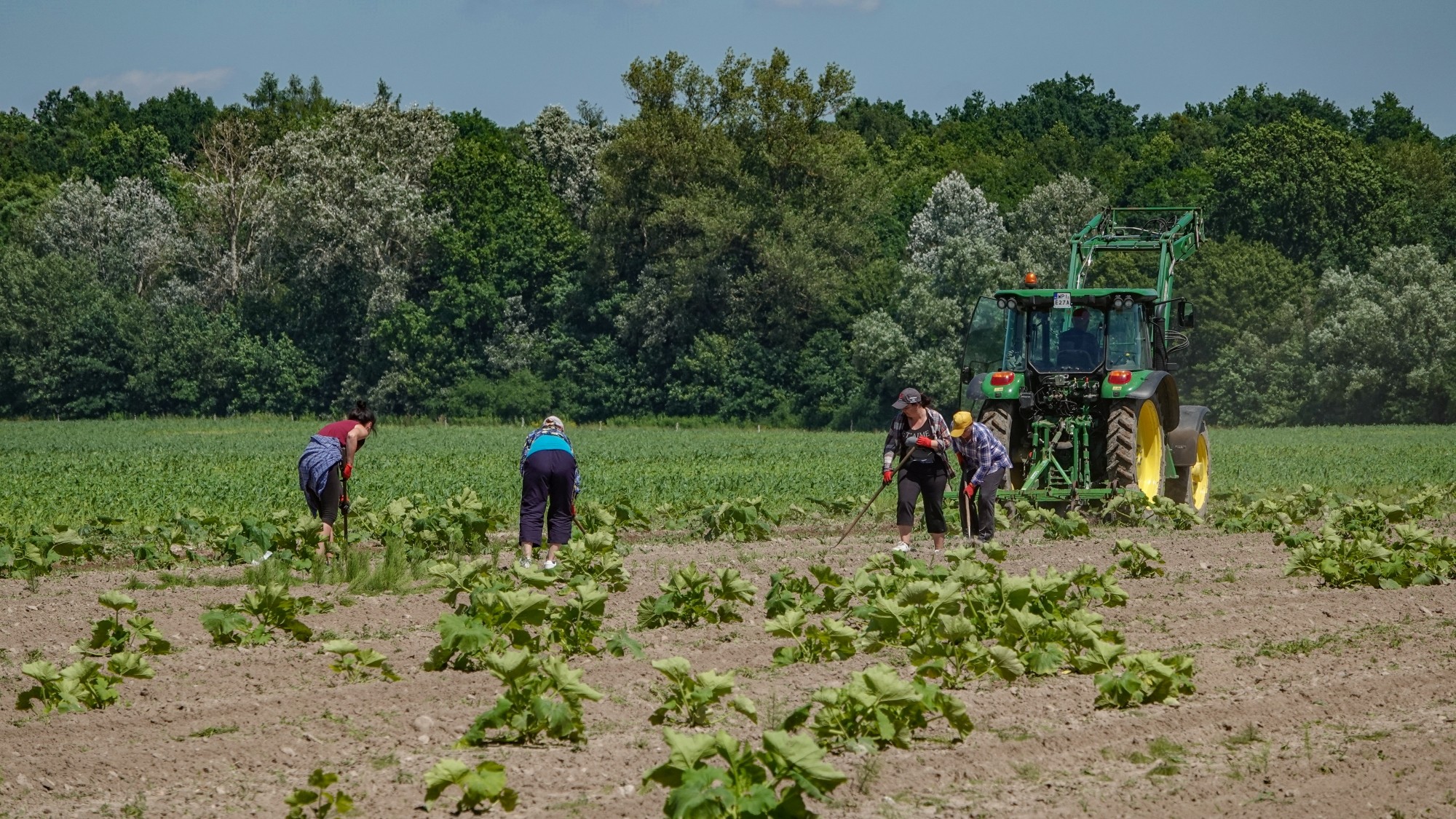 Letnie klimaty na łonie natury - zdjęcie 20