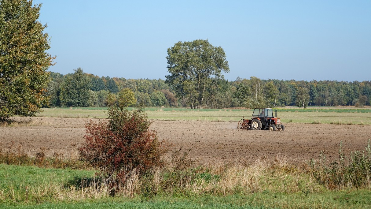 Podróż przez jesienną Polskę - zdjęcie 25