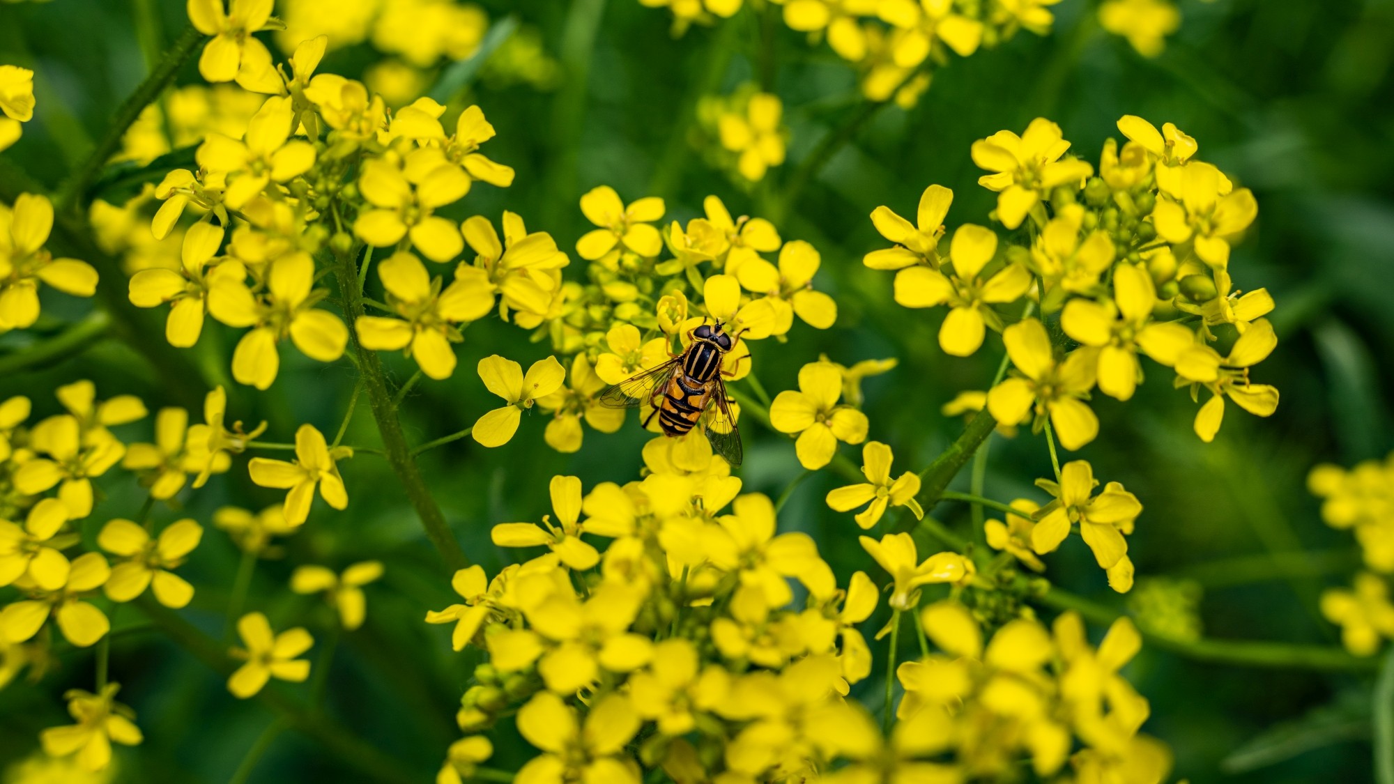 Lato na prowincji - zdjęcie 37
