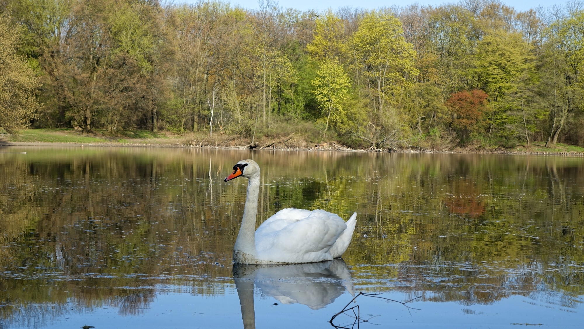 Kwiecień w obiektywie - zdjęcie 22