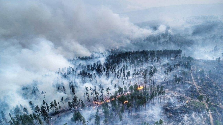 Pożary lasów na Syberii z lotu ptaka. Fot. EPA / NASA.