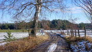 11.02.2021 10:00 W weekend nadejdzie odwilż, ale na krótko. Potem czeka nas kolejna fala mrozów, jeszcze silniejszych