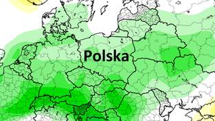 14-02-2026 03:59 Polska cała na zielono. Gorszych wieści dawno nie było