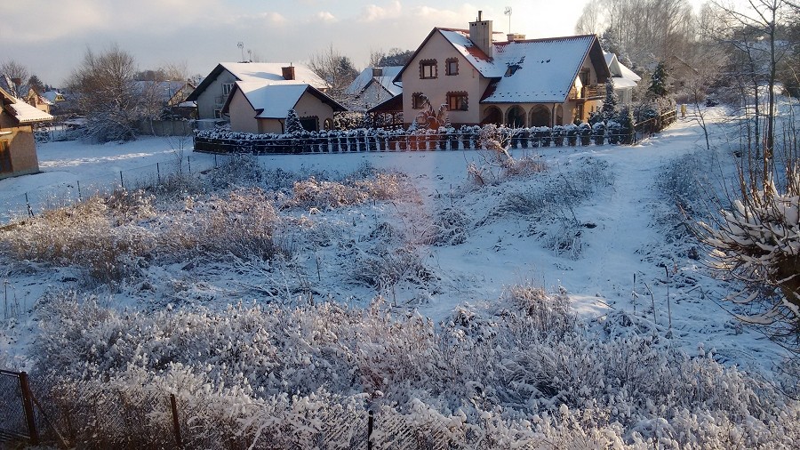 Zima w Kolbuszowej w woj. podkarpackim. Fot. Czytelnik.