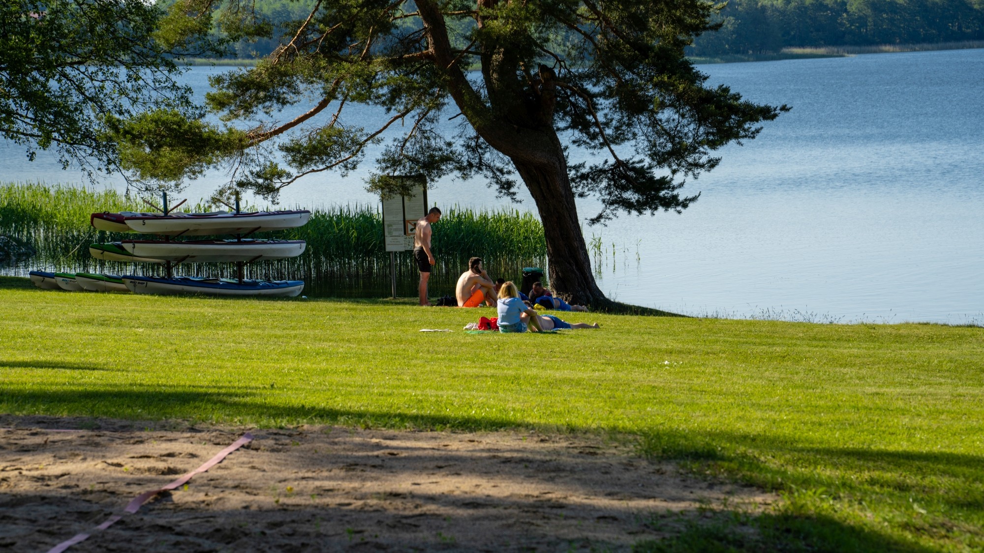 Kolory lata - zdjęcie 59