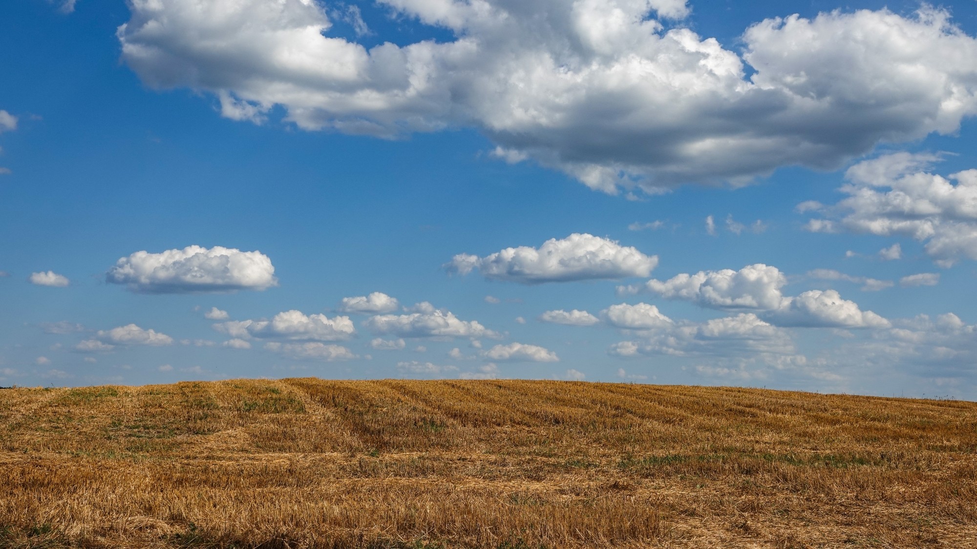 Na pożegnanie lata - zdjęcie 42
