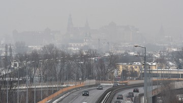 Polski Alarm Smogowy z apelem do premier o skuteczną walkę ze smogiem