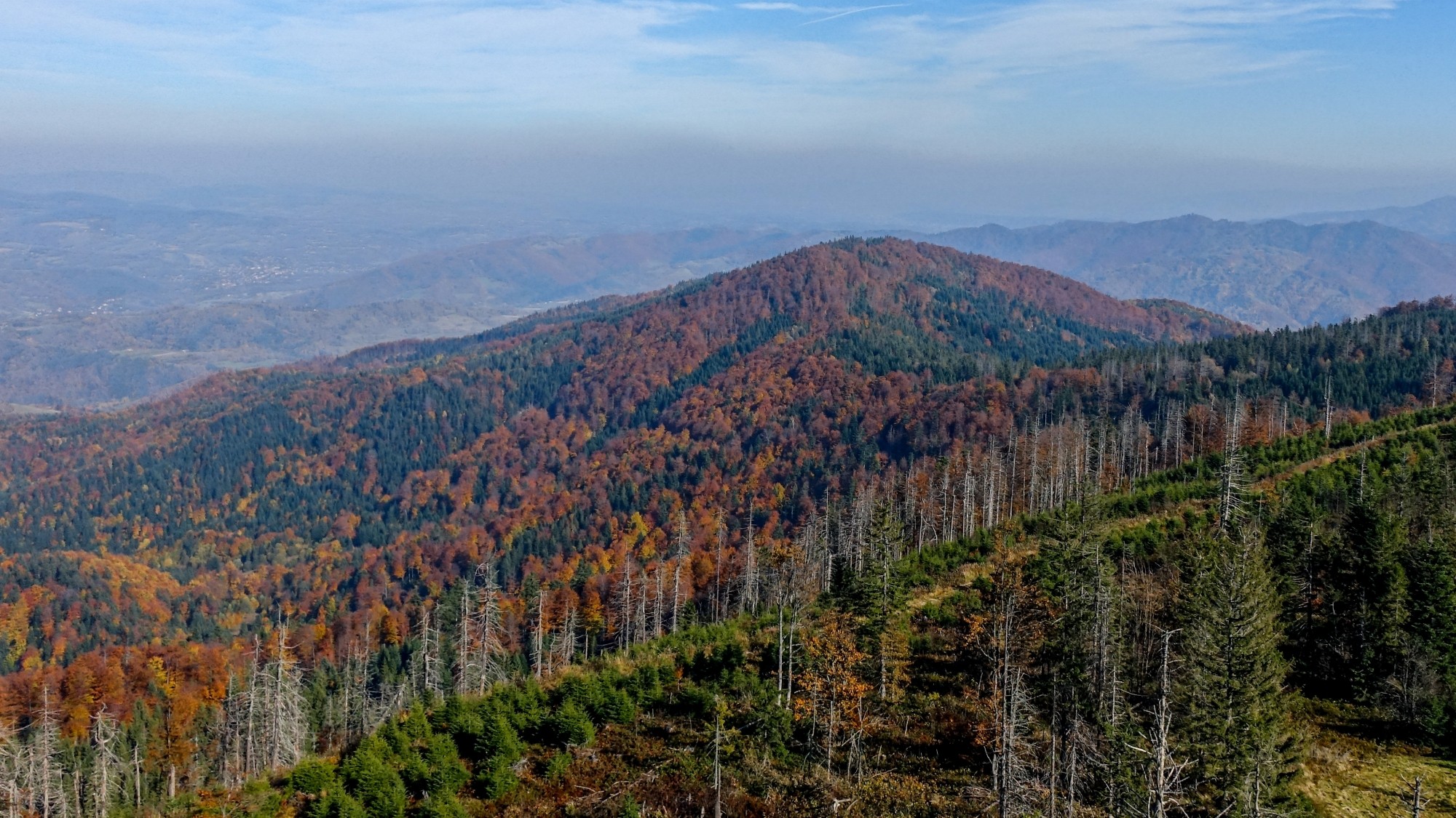 Jesień w górach, lasach i nad jeziorami - zdjęcie 53